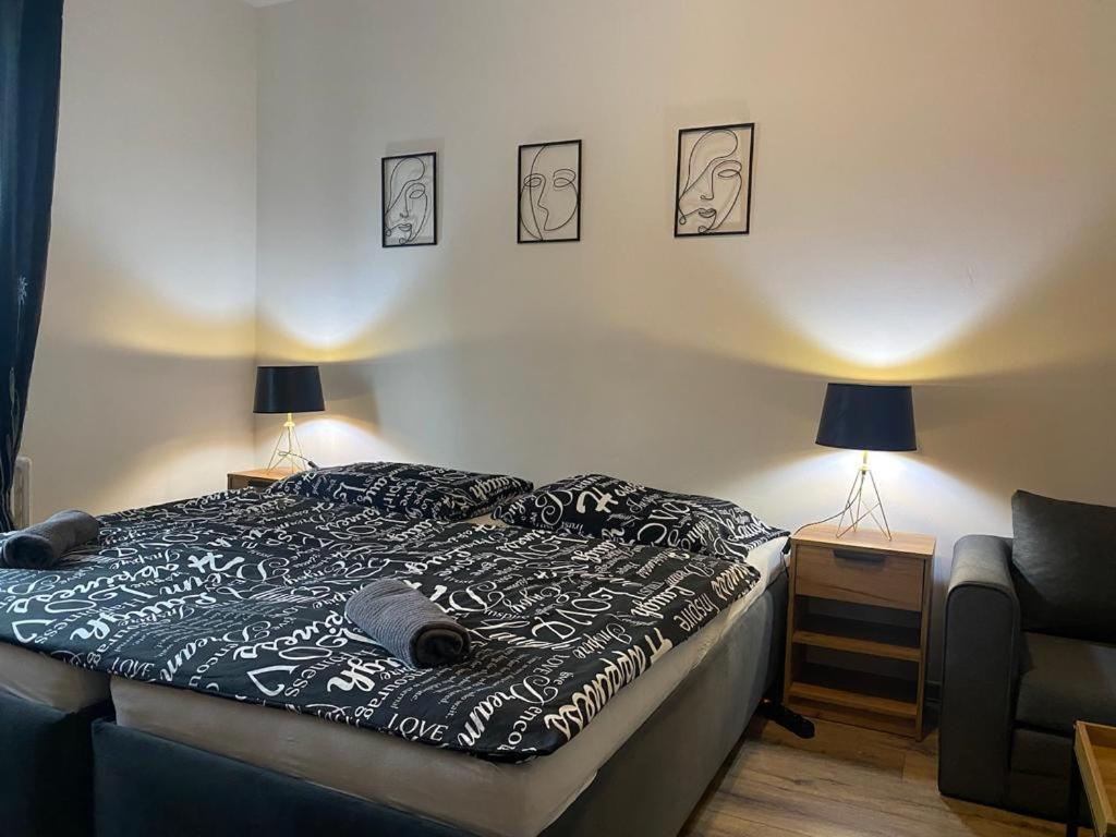 Cerna Ruze - Apartman 4 Plzeň Eksteriør billede